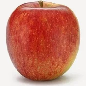 Braeburn Apple