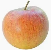 Coxs Orange Pippin Apple